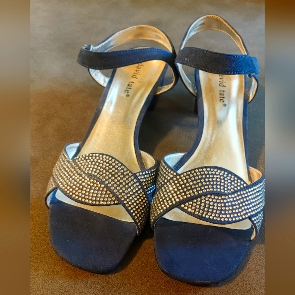 David Tate Navy and Silver Women's Sandals